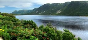 local scene for Newfoundland and Labrador